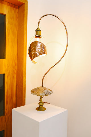 Spencer Falls, "Sandrasonia Lamp"