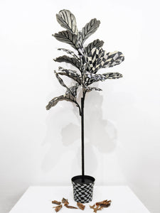 Anne Muntges, "Glowing Desert Artifact - Fig Tree"