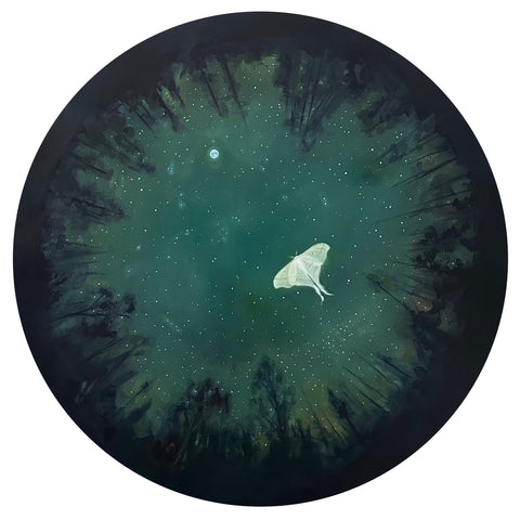 Carl Grauer, "Lunar Moth"