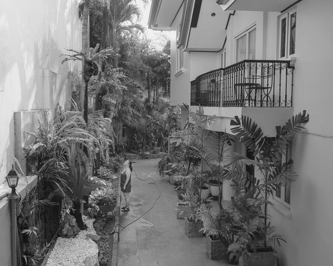 Paolo Morales, "Hyowon Staring At Plants"