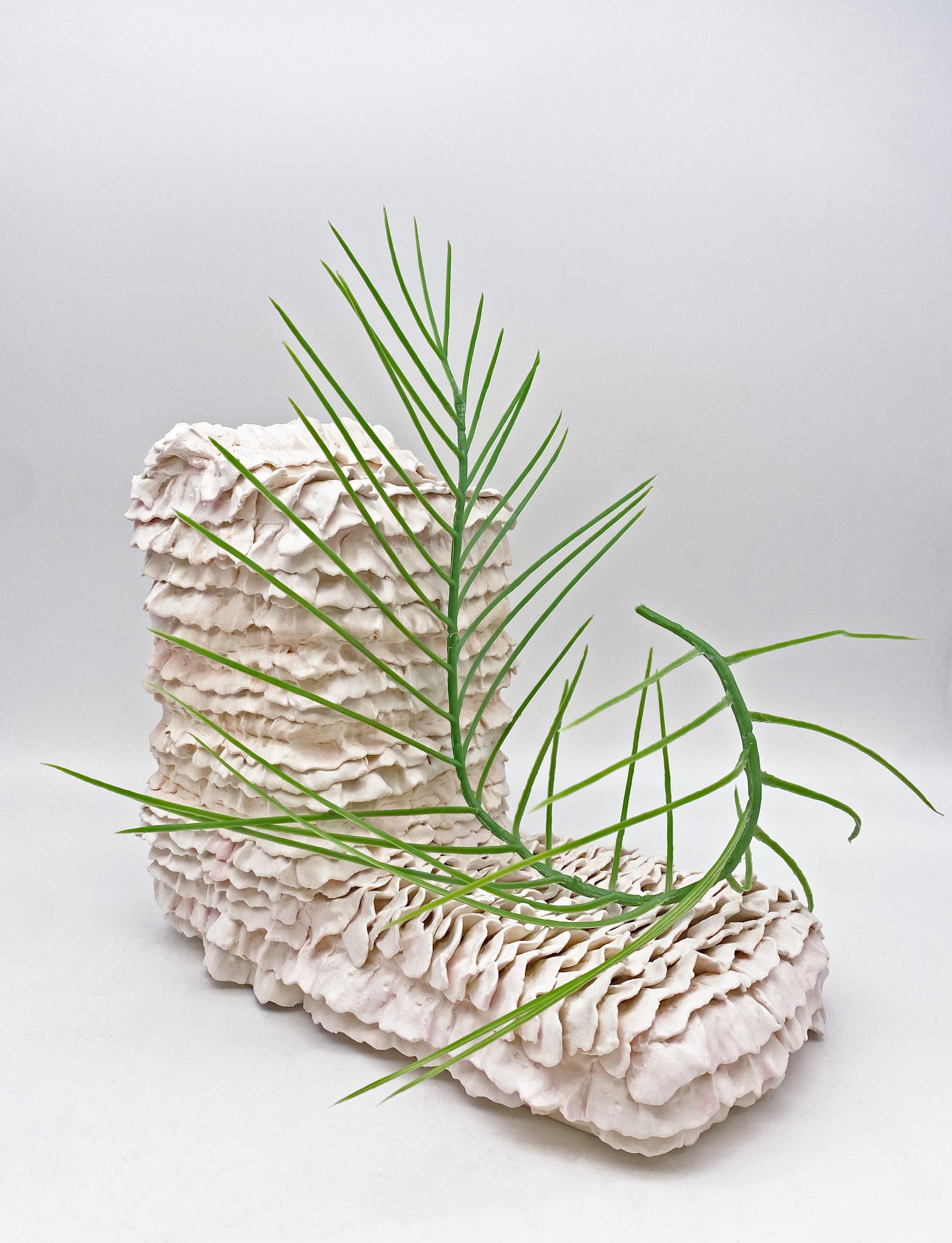 Sunyoung Park, "Captured Plant Composition #1"