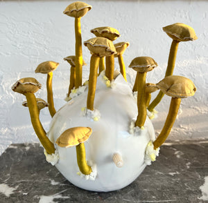 Alissa Alfonso, "Golden Mushrooms"