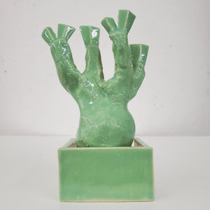 Takashi Horisaki, "#InstaBonsai-Gracilius Green with Six Leaves"