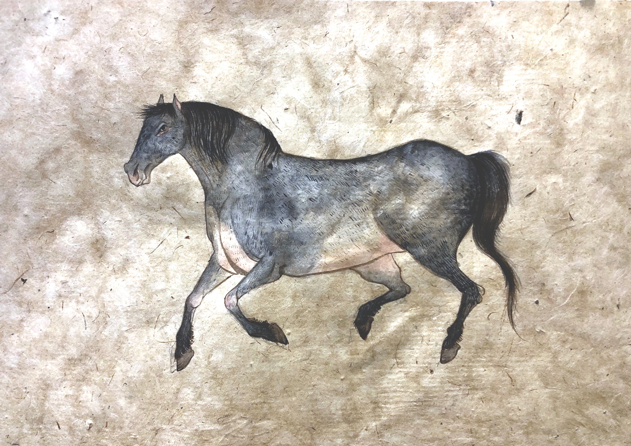 Fay Ku, "Horse II"