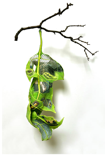 Kathy Levine, "Urban Care"