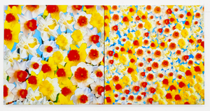 Peter Dayton, "Daffodils in Stereo"