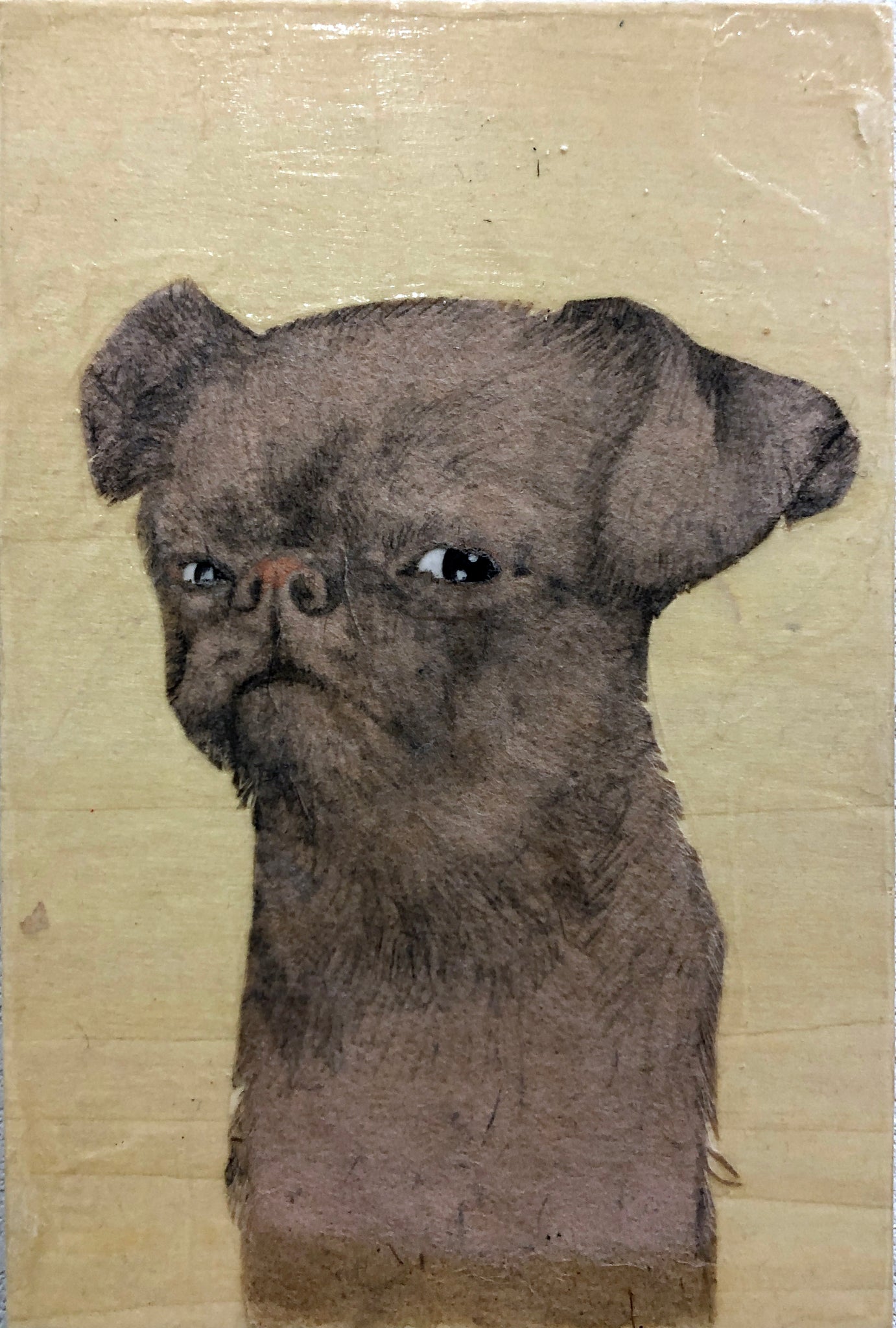 Fay Ku, "Petunia I (Side Eyed)"