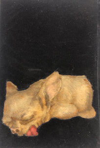 Fay Ku, "Sleeping Dog (I'm Not Dead)"