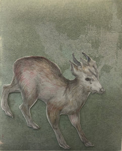 Fay Ku, "Taiwan Deer"