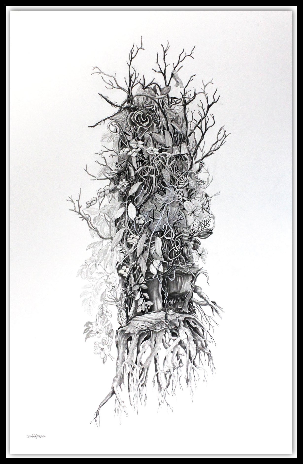 Carole Bolger, "Lone Survivor"