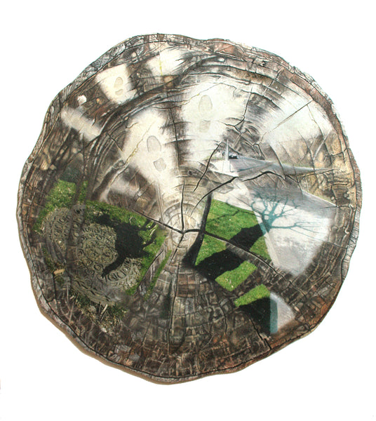 Kathy Levine, "Crosecitree"