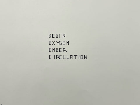 Courtney Puckett, "Begin Oxygen Ember Circulation"