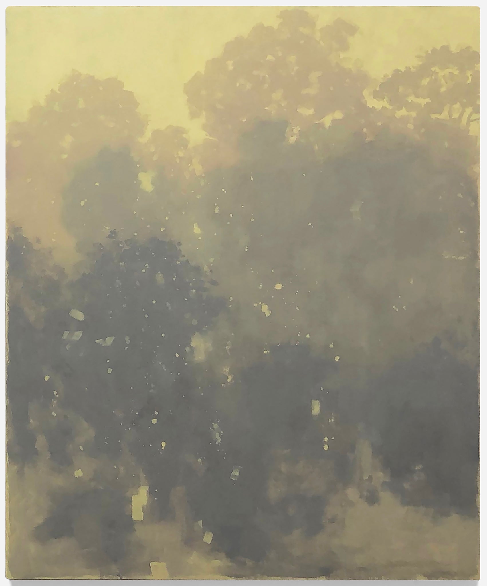 Braden Bandel, Garden Planet SOLD