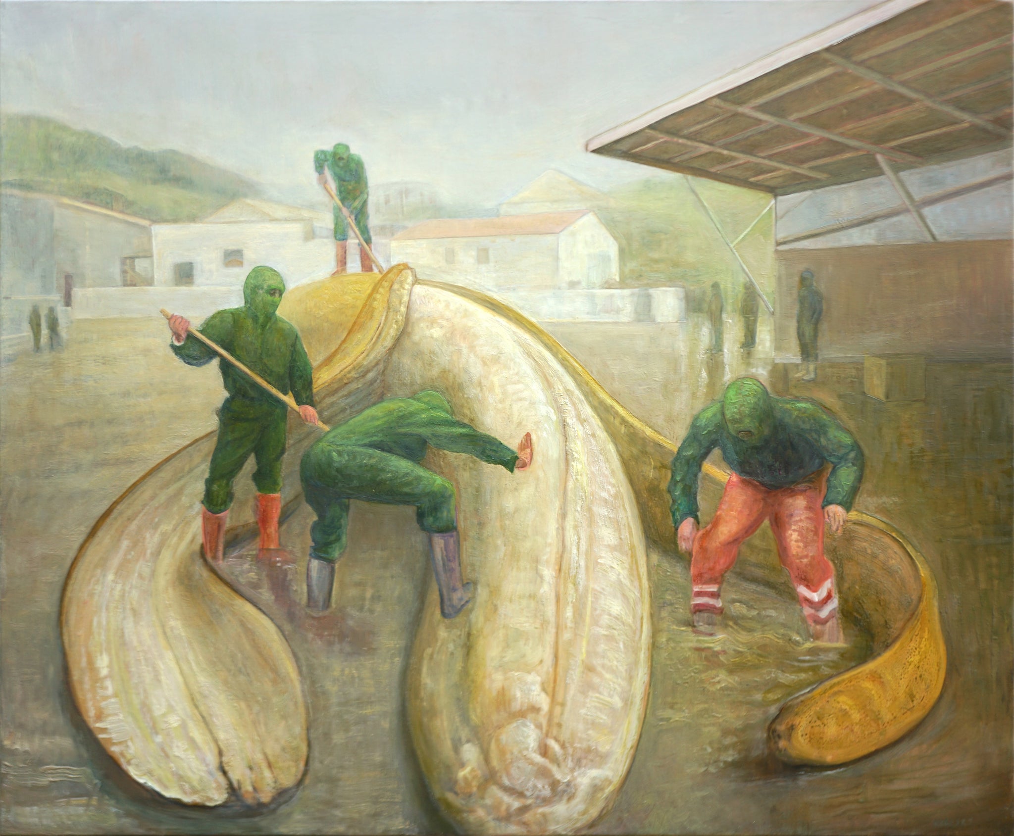 David Molesky, "Circumvision"