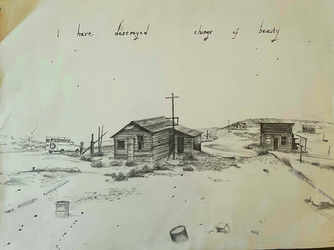 John Tottenham, I Have Destroyed Beauty