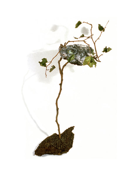Kathy Levine, "Eye of the Wood - Artemis"