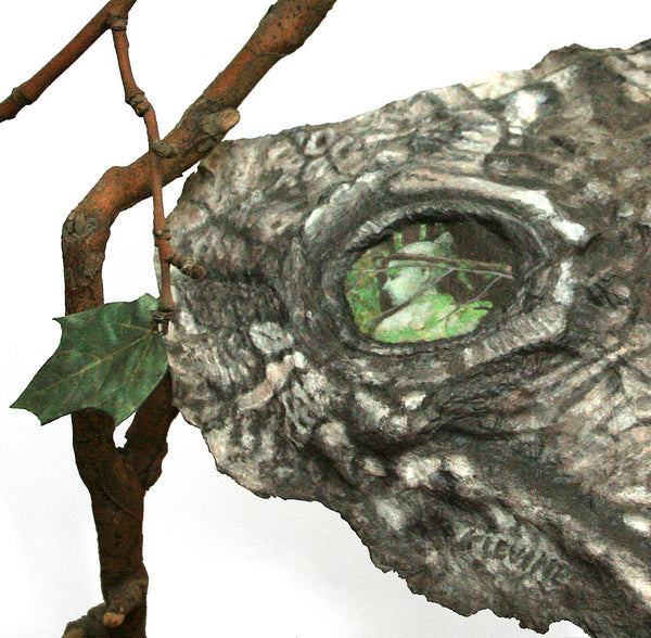 Kathy Levine, "Eye of the Wood - Artemis"