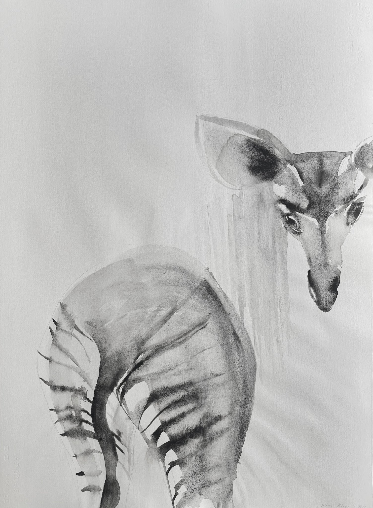 Alina Bliumis, "Nature of Nations #9"