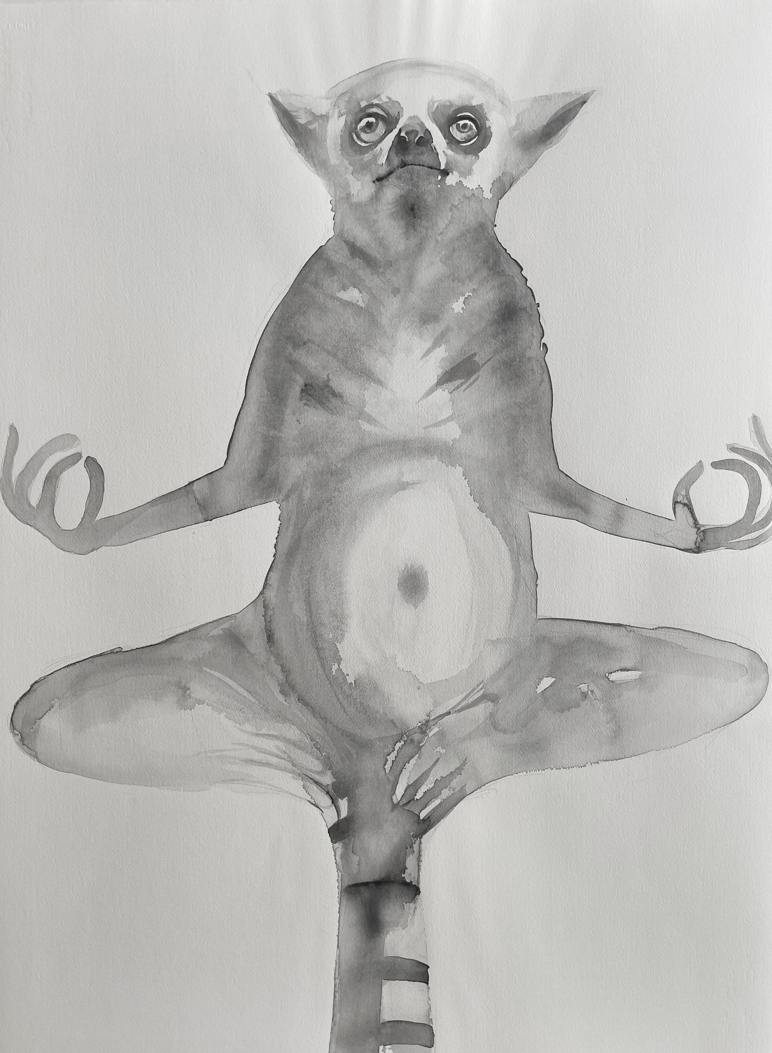 Alina Bliumis, "Nature of Nations #2"