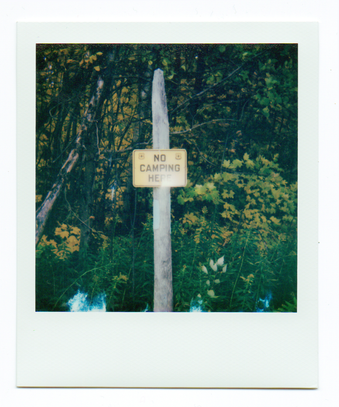 Travis Rix, No Camping Here