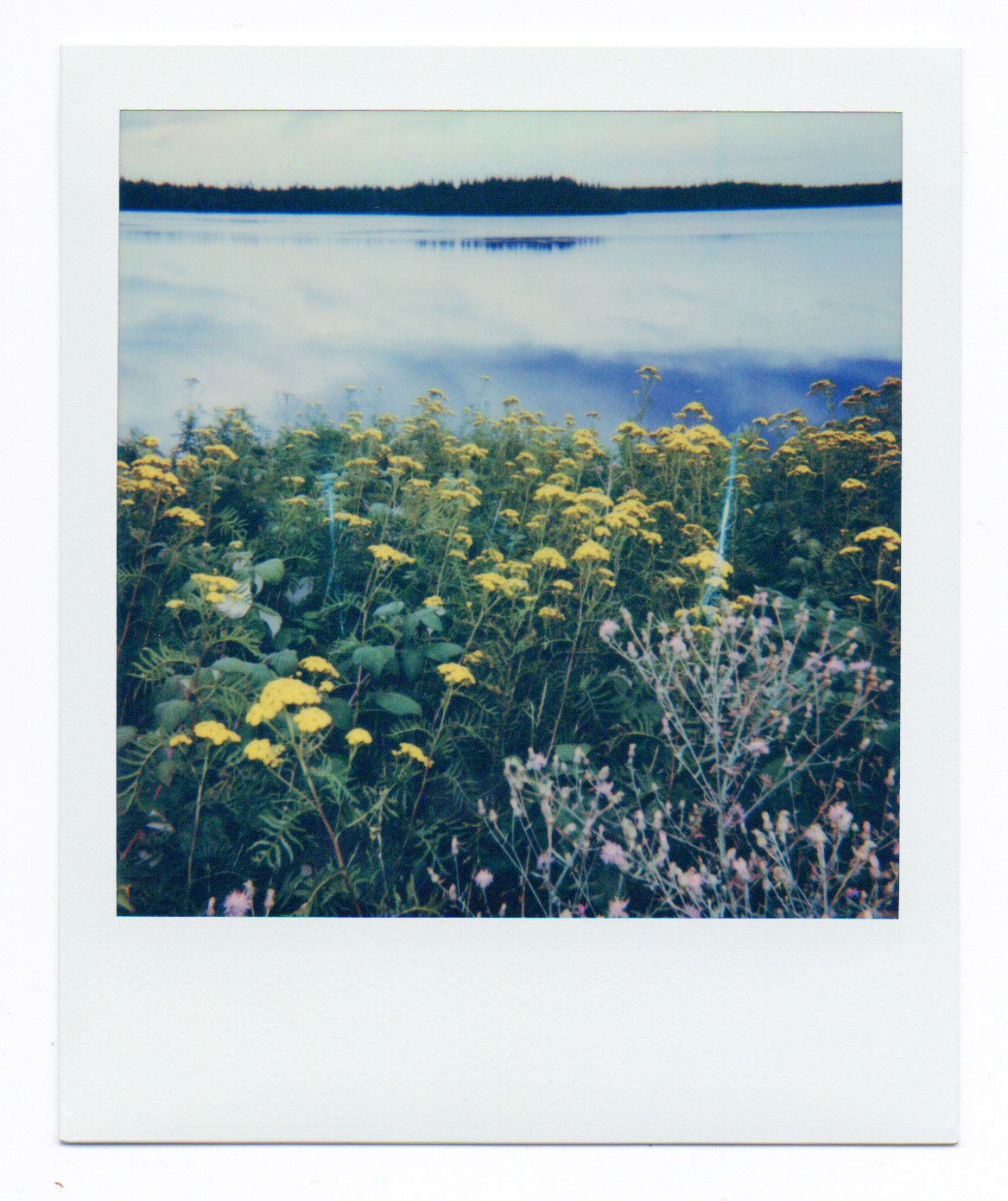 Travis Rix, Parent Lake, Covington, MI