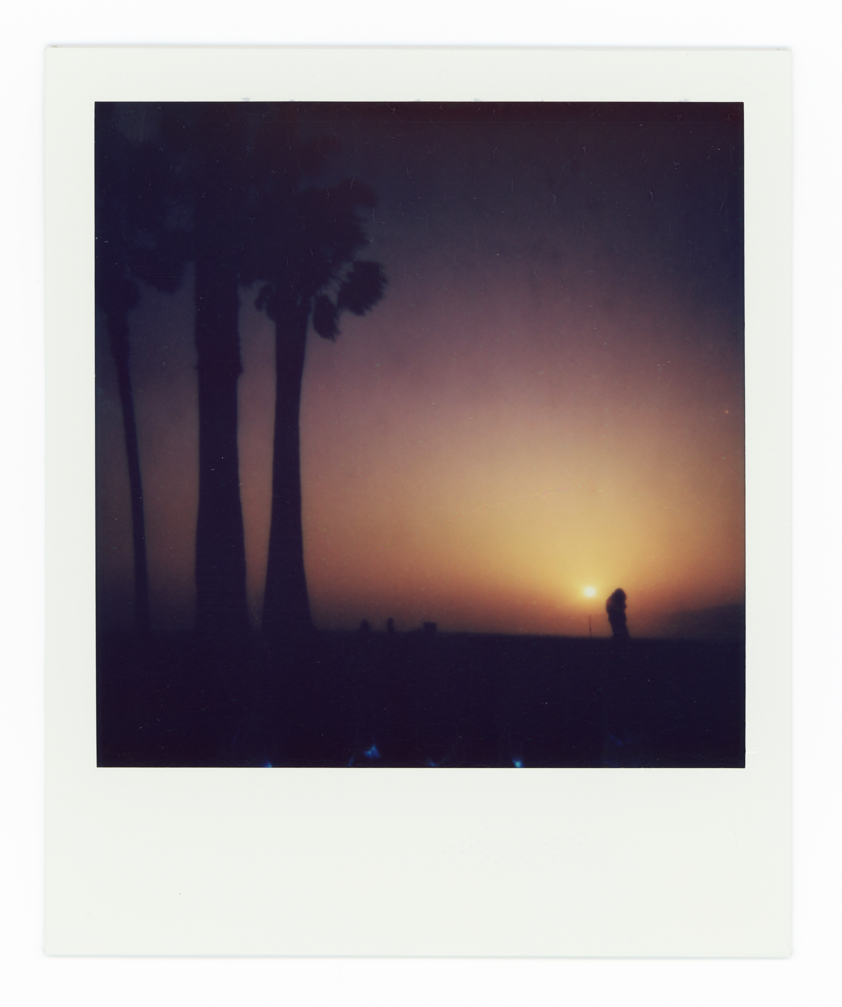 Travis Rix, Venice Beach Sunset