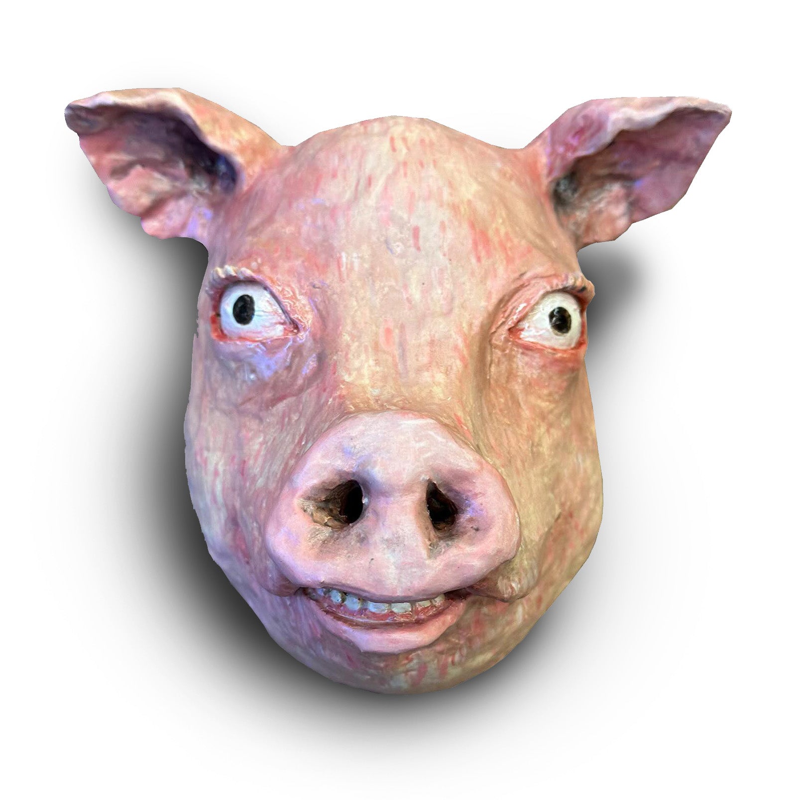 Dasha Bazanova, Pig's Head