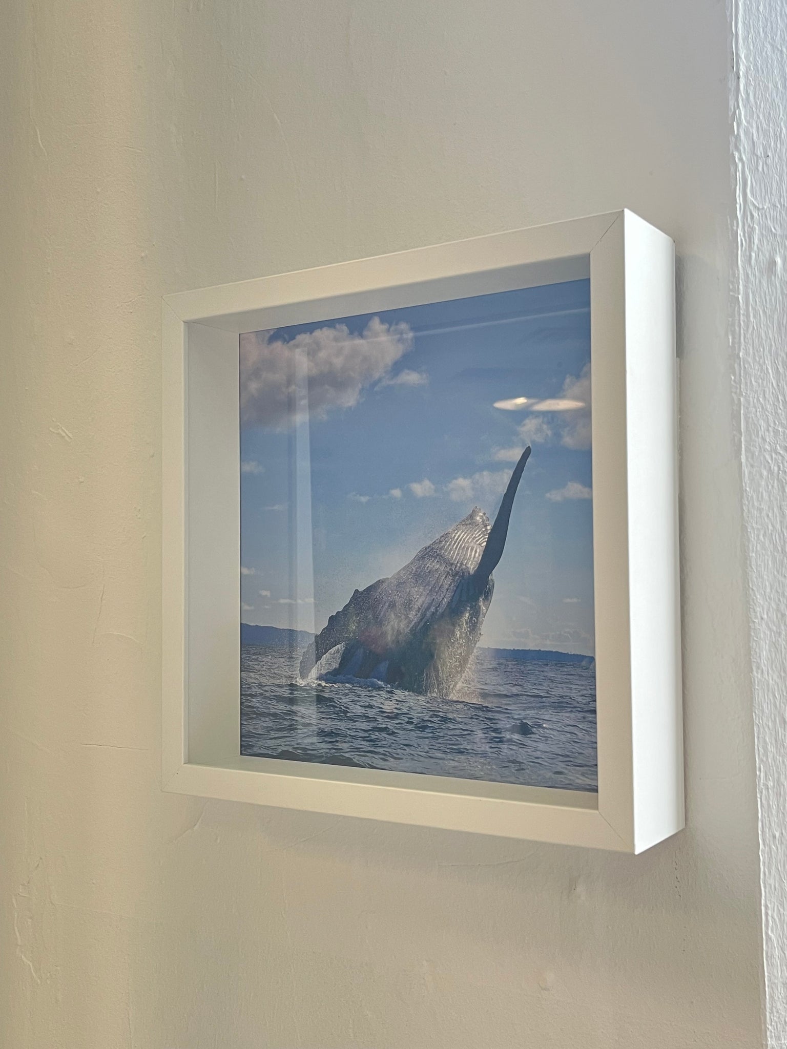 Juan Cuadros , "Salto de espalda"