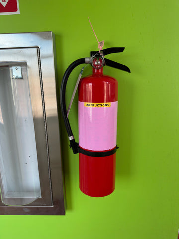 Nick Thune, "Extinguish" SOLD