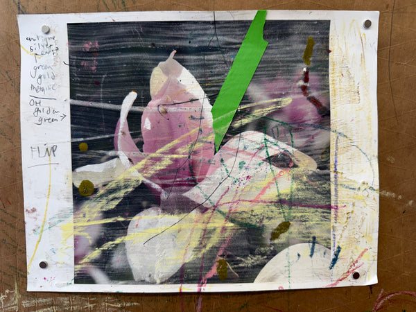 Greg Lindquist, "Magnolia Studies (with Gio) I-IV"