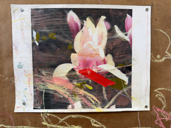 Greg Lindquist, "Magnolia Studies (with Gio) I-IV"
