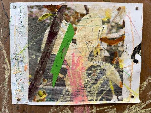 Greg Lindquist, "Magnolia Studies (with Gio) I-IV"