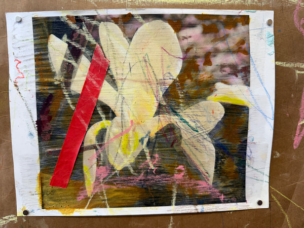 Greg Lindquist, "Magnolia Studies (with Gio) I-IV"