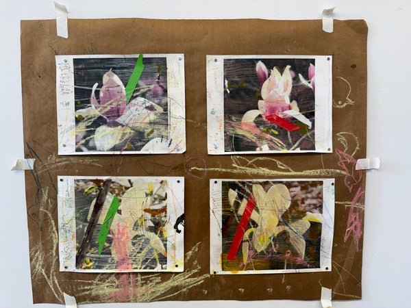 Greg Lindquist, "Magnolia Studies (with Gio) I-IV"