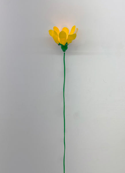 Marianna Peragallo, "Mini Buttercup"
