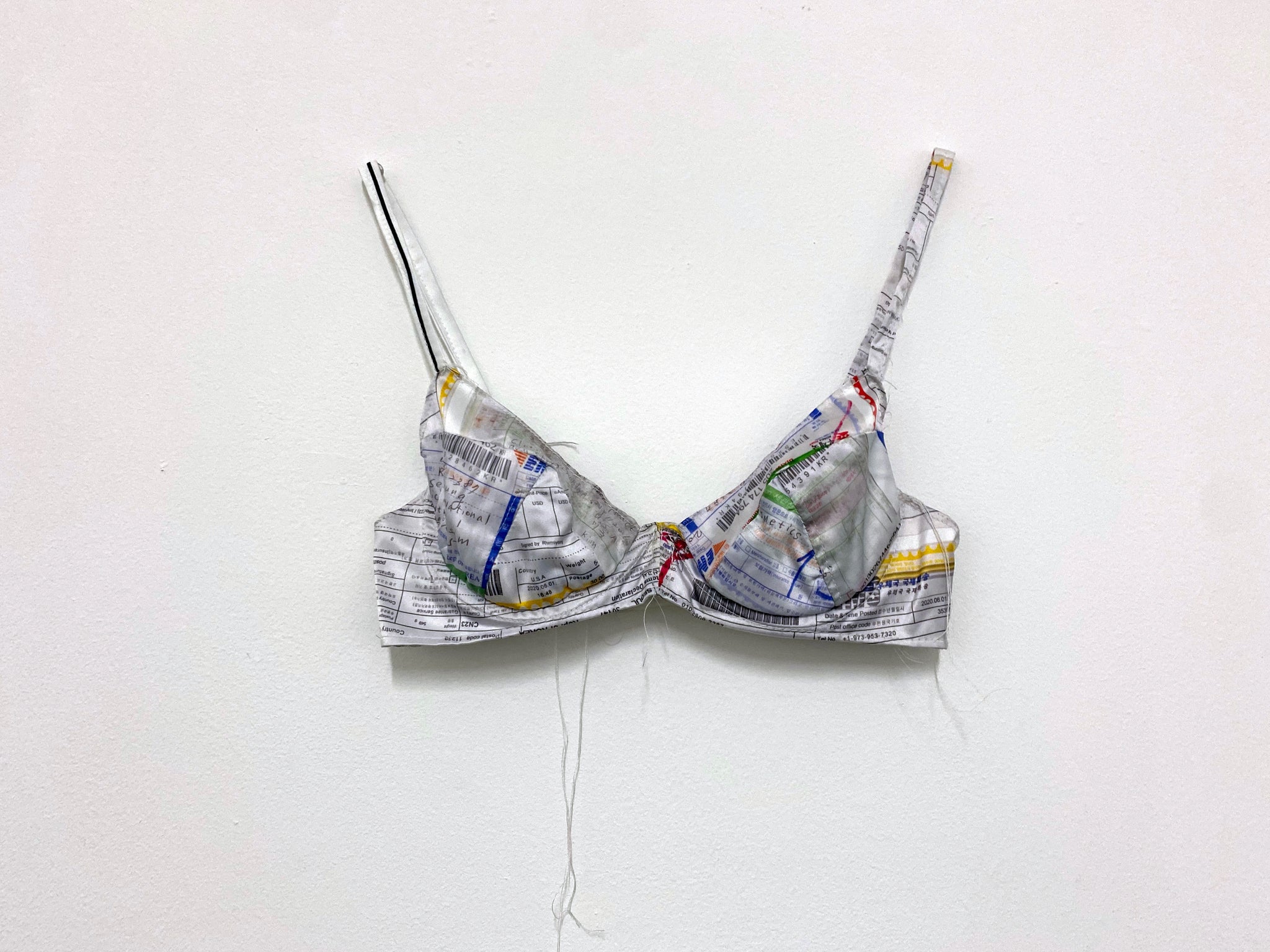 Jiwon Rhie, "Self Identified (Care Package Customs Forms)"