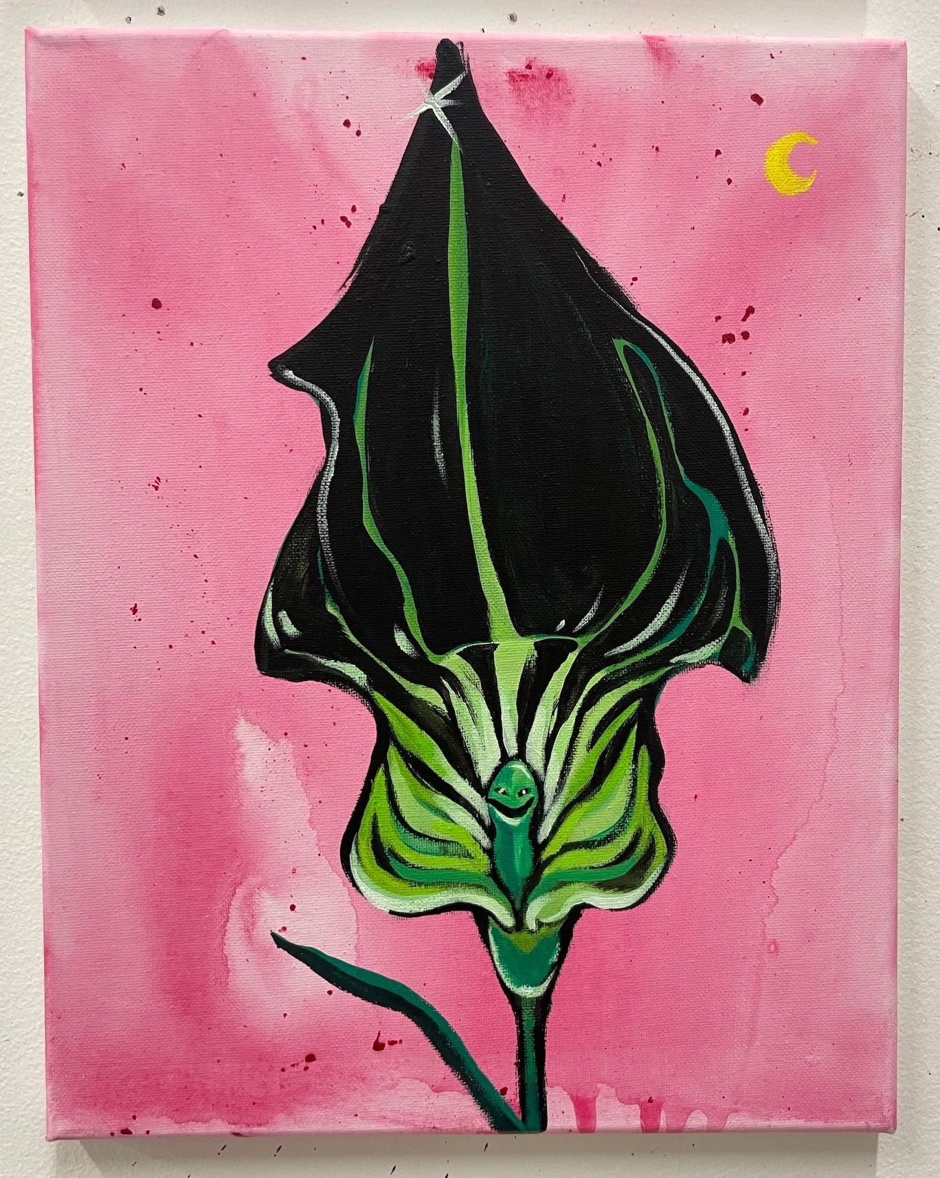 Daniel Morowitz, "Iris"