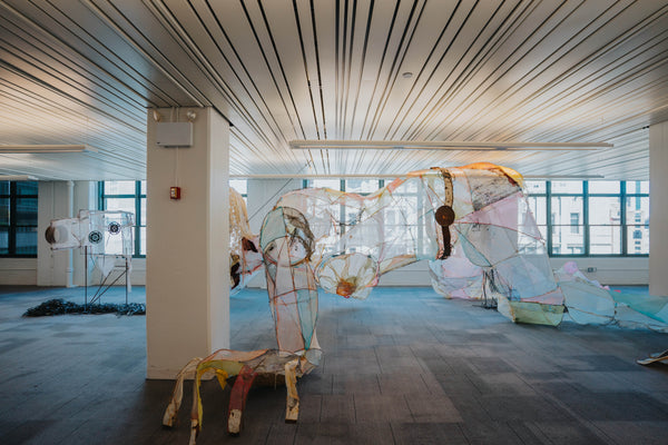 BALONEY, "Portrait of the Artist as a Filmmaker"