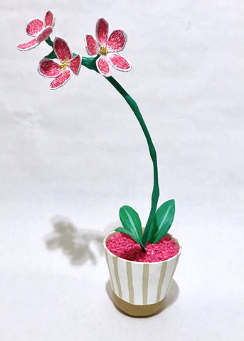 Shona McAndrew, "Orchid"