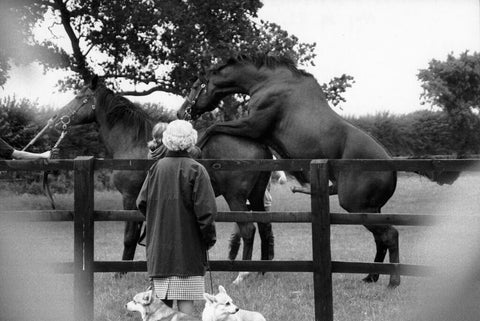 Alison Jackson, "Queen Watches Her Horses Mate"