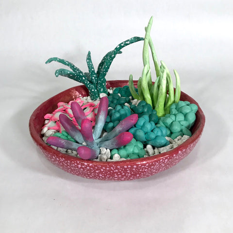 Shona McAndrew, "Bowl of Succulents"