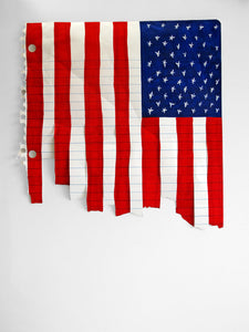 Michael Scoggins, "Stars and Stripes Forever (AKA These Colors Don't Run)"