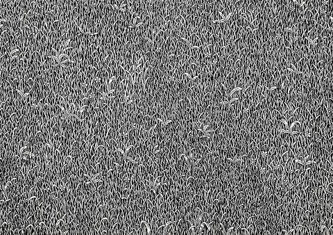 Tyler Krasowski, "Grass (fabric installation)"