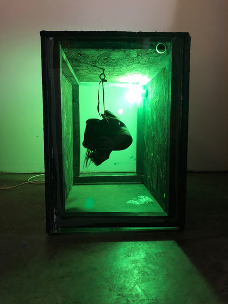 Nicolas Shake, "Green Box"