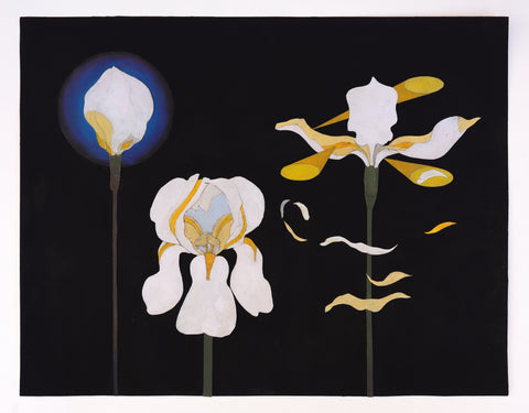 Sarah Smiley, "Searchers"