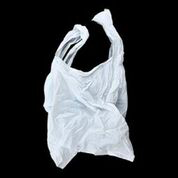 Lisa Kirk, "Bag Piece"
