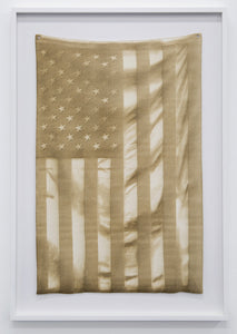 Joe Nanashe, "Burnt Flag"