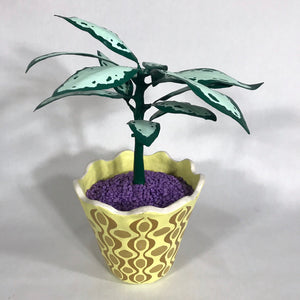 Shona McAndrew, "Pineapple Plant"