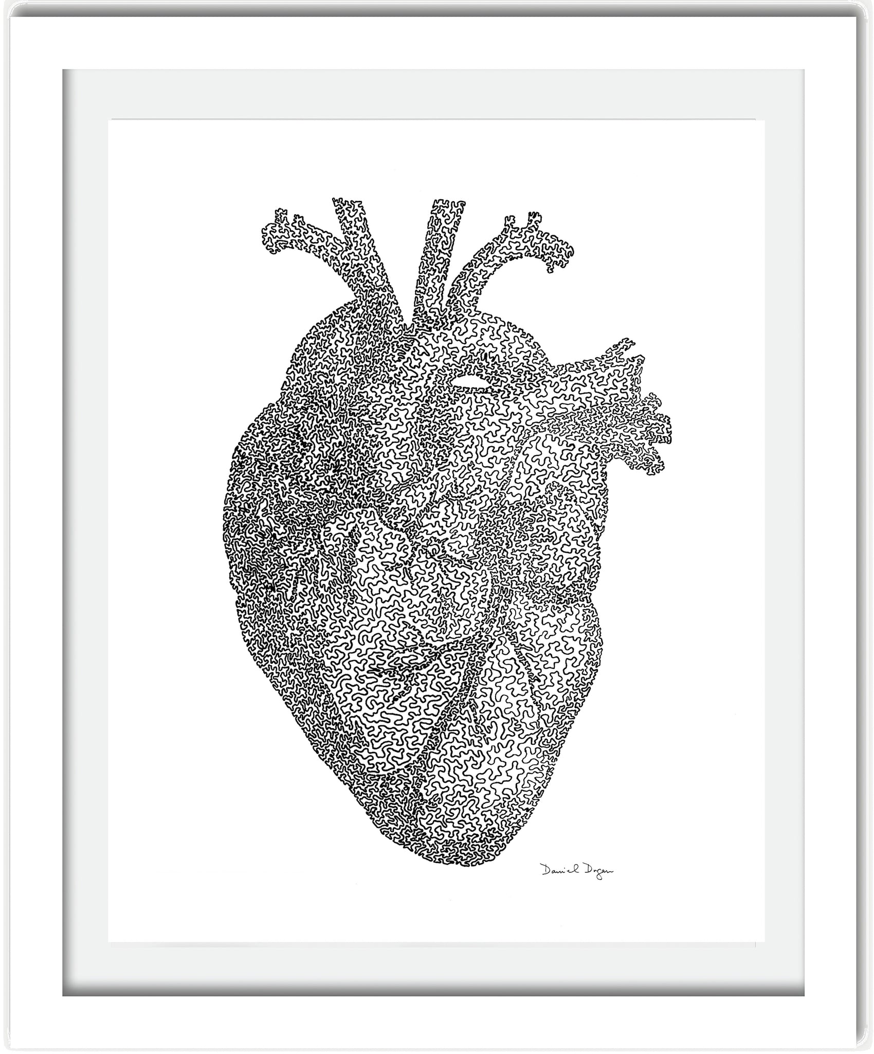Daniel Dugan, "Heart Study"