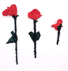 Emilia Olsen, "Roses"
